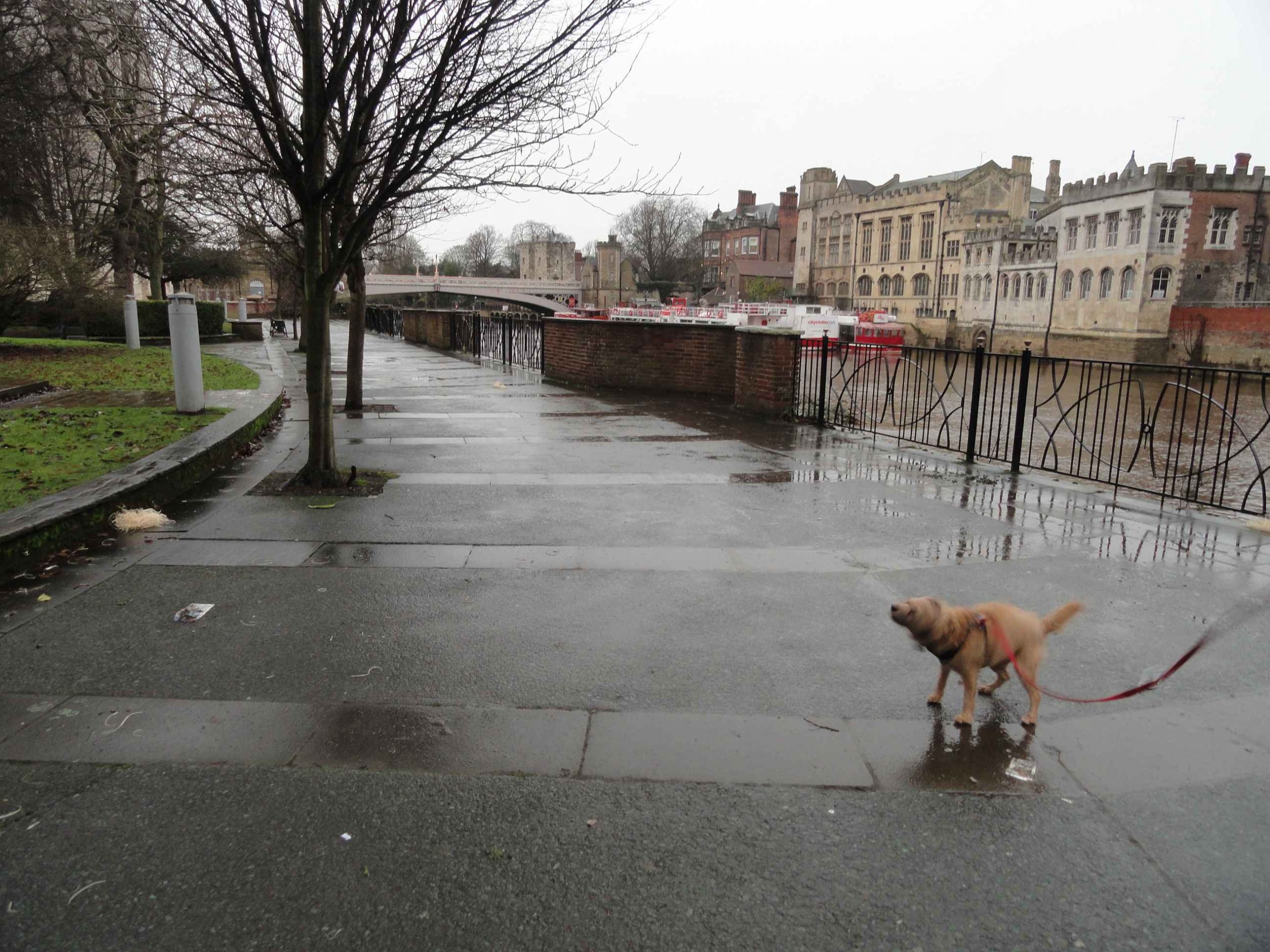 Wet and Miserable in York