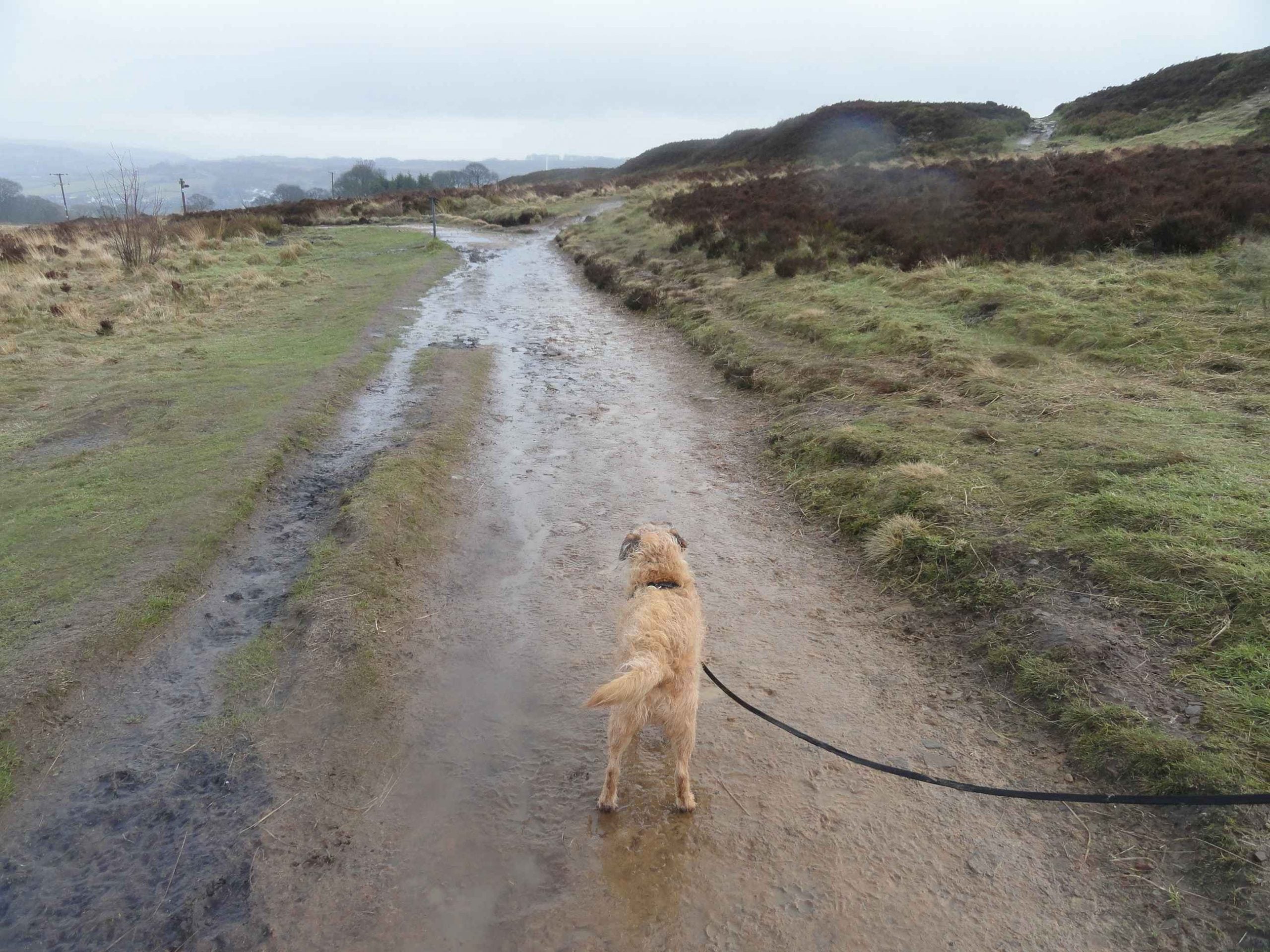 B***er the Brontes..