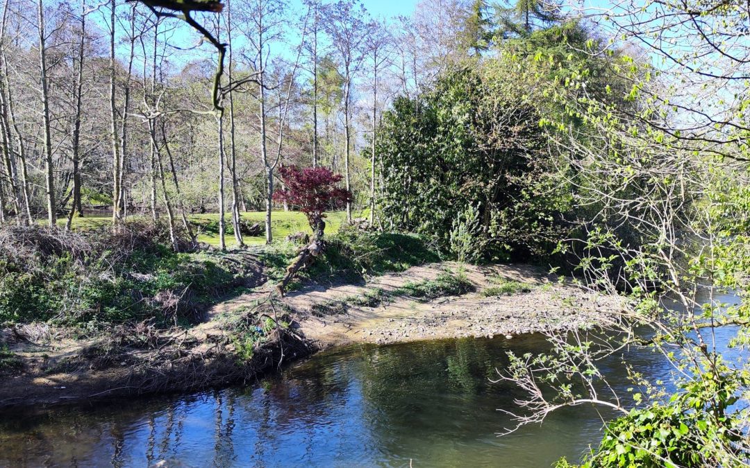 An afternoon with Mr Taylor…